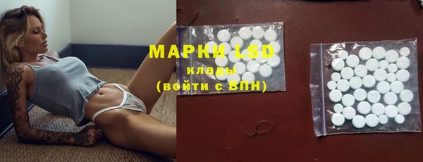 PSILOCYBIN Зеленодольск