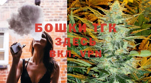 PSILOCYBIN Зеленодольск