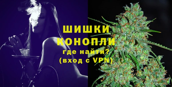 PSILOCYBIN Зеленодольск