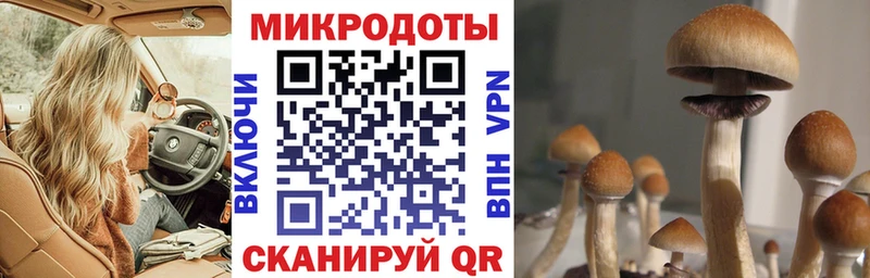 Псилоцибиновые грибы мухоморы  Купить где  Задонск 